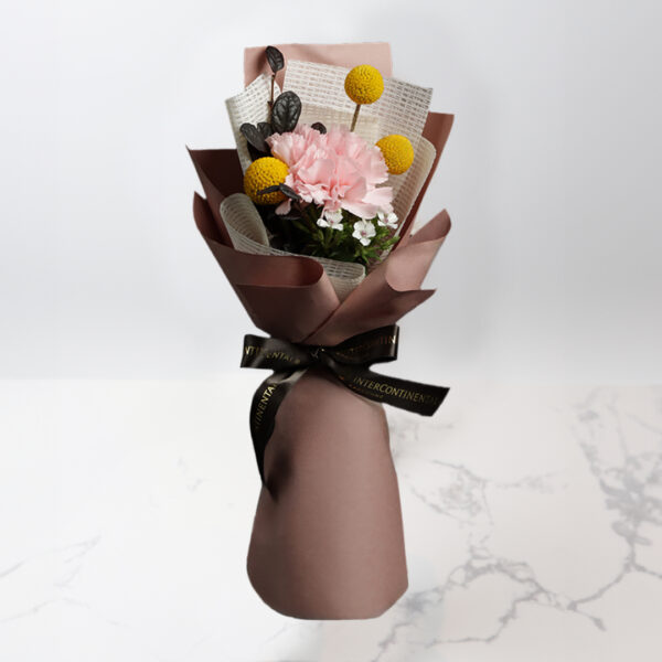 單朵雅緻粉康乃馨鮮花花束